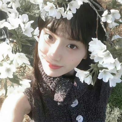 桃花映江山